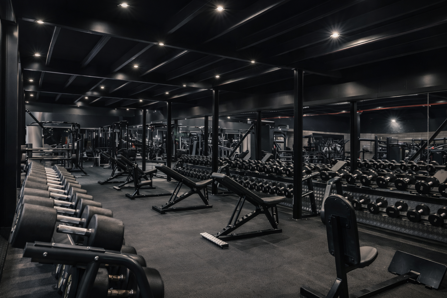 Ambiente Gym Premium